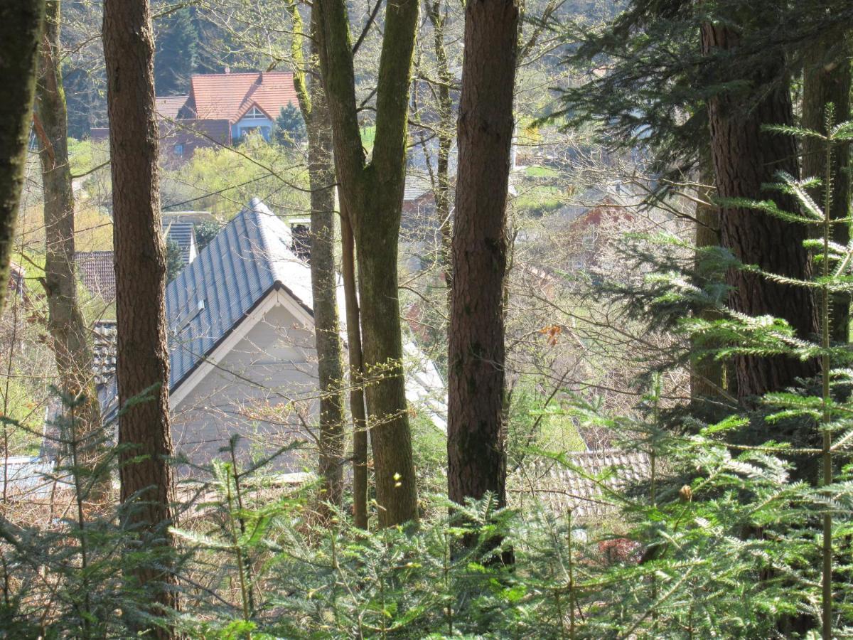 Le Clos D'Aure. Oberhaslach Eksteriør billede