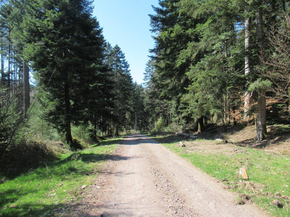 Le Clos D'Aure. Oberhaslach Eksteriør billede